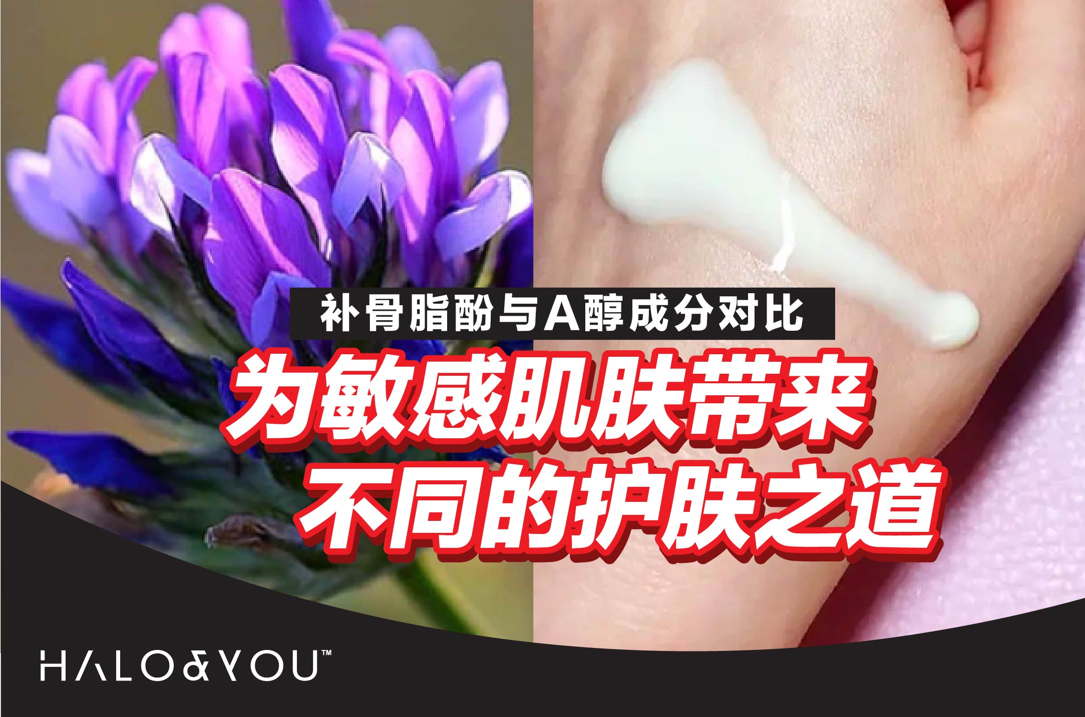 补骨脂酚与A醇:成分对比,为敏感肌肤带来不同的护肤之道