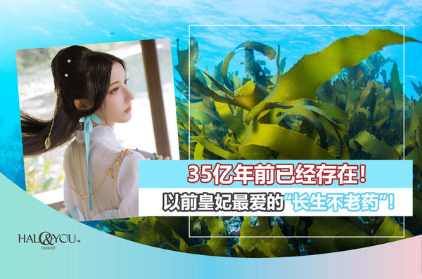 Halo & You | 35亿年前已经存在！它是以前皇妃最爱的“长生不老药”！