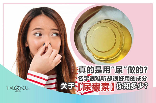 Halo & You | 真的是用“尿”做的🤮？名字很难听却很好用的成分🤩，关于【尿囊素】你知多少？